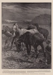 Een bivak bij maanlicht, een echte maar onconventionele ervaring